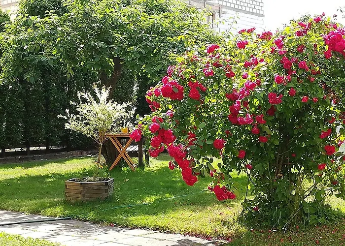 Poilsis Pas Virginija Butas